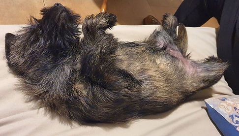 audrey durmiendo.jpg
