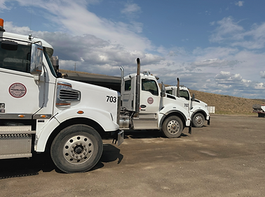 All Highway Trucks_edited_edited.png