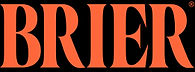 BRIER logo sitio.jpg