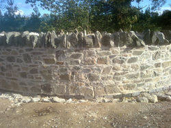 Lime mortar joint wall in Dublin