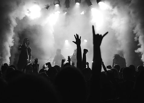 pexels-sebastian-ervi-866902-1763075_edited.jpg
