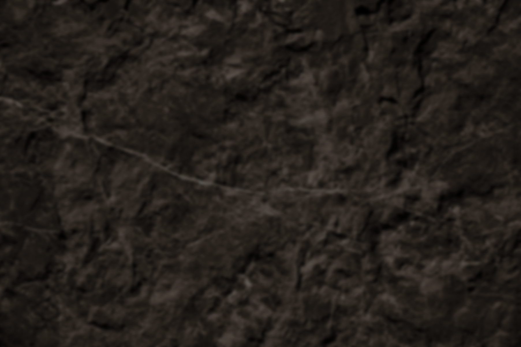 Fondo_quienes somos.png