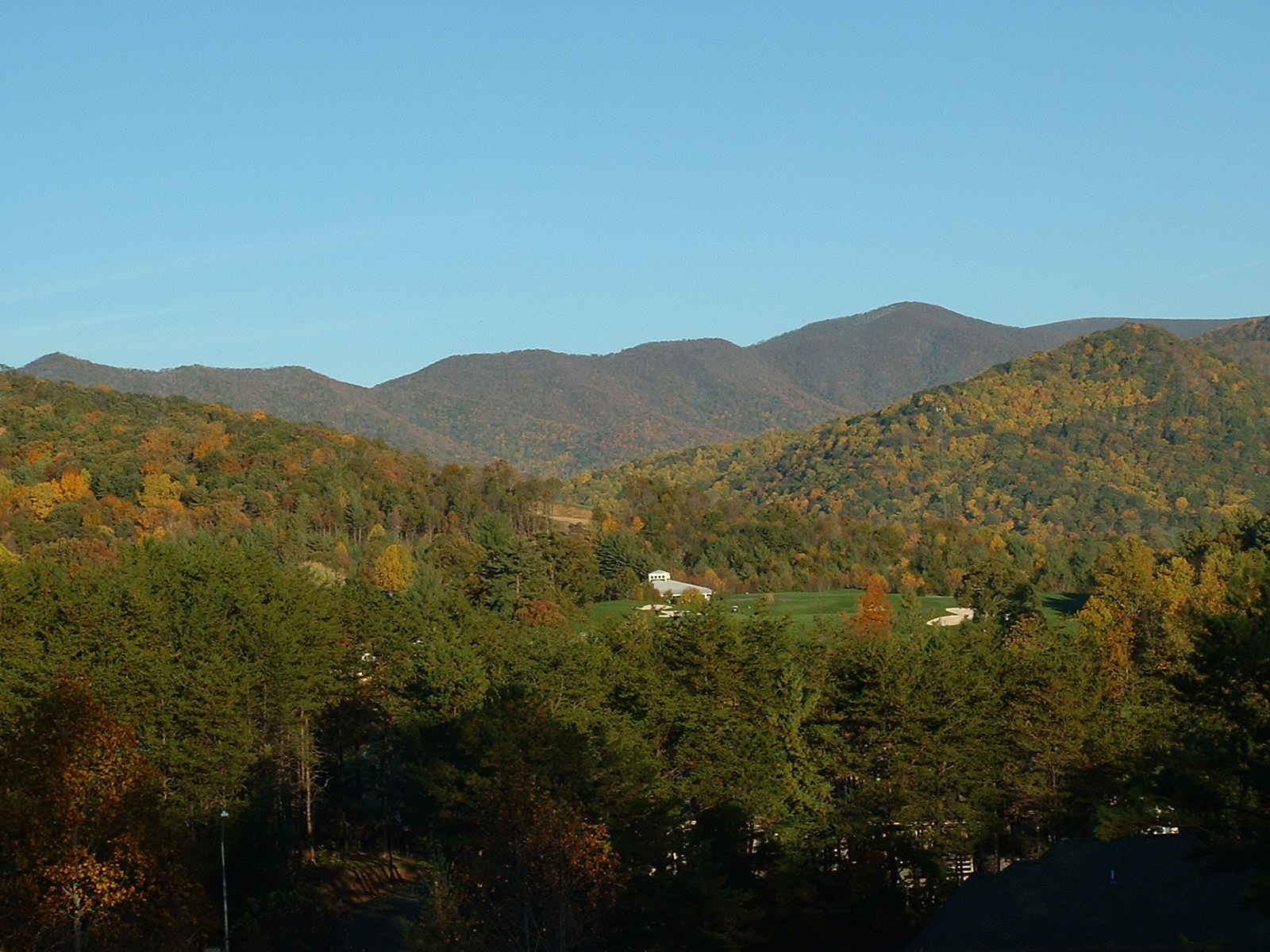 Asheville Homes Lots & Houses in Reems Creek Village Weaverville, NC