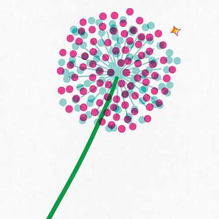  fleur d'ail - illustration concours les sens