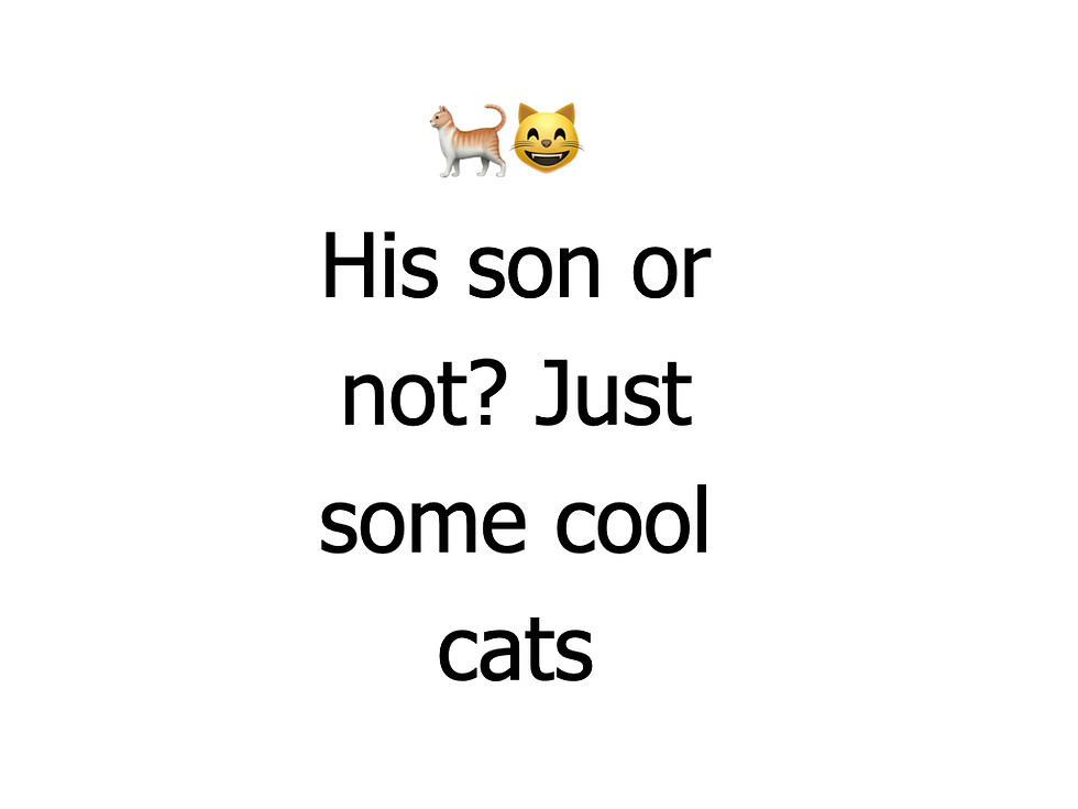 Thumbnail: Just Cats - Print - A3