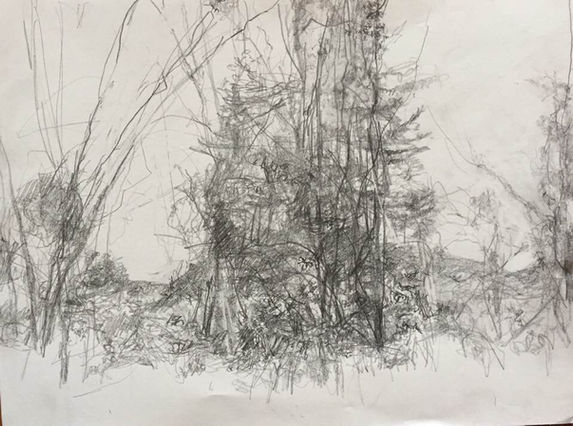 Carol Heft Landscape 11.14.21 12 x 9 in. Pencil .jpg