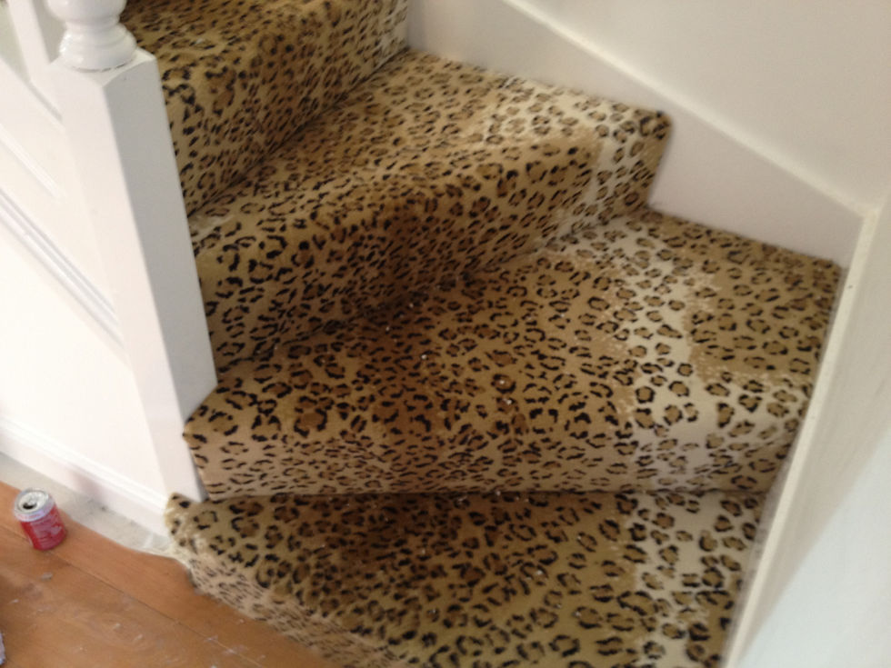 leopard skin carpet