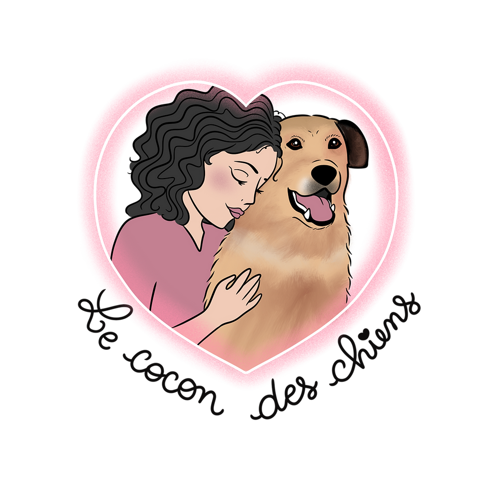 Logo le cocon des chiens