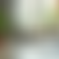 CEHO: Transformando La Dinámica En Las Empresas