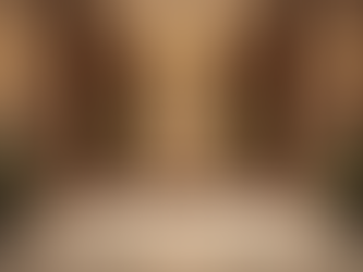 Art of Luxury's Customer Care is Apart from the Rest