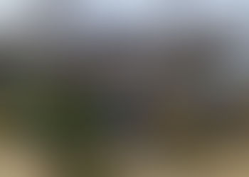 2022.01.29 体験生が練習参加！