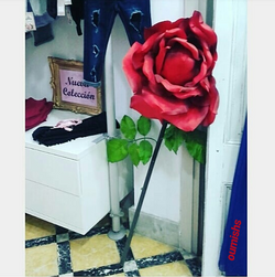 Rosas