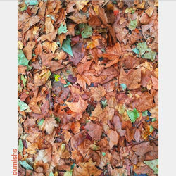 Autumn Terrassa 2019