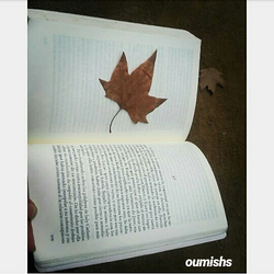 Libro & Otoño