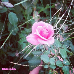 ¡Pink!