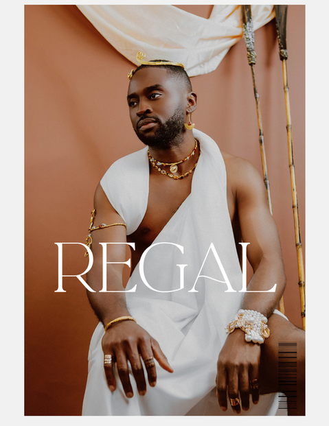 Royal Photoshoot, a King, African King photo, Royal 