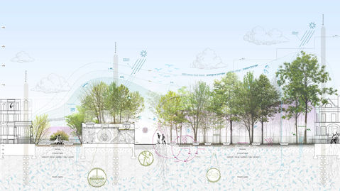 Blooming Habitats of the Bronzeville Trail Landscape Initiative