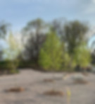 BC Insta Halsted 026.jpg