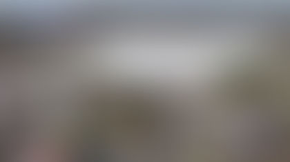 Neronha Calls For Pause