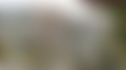 Reported COVID Numbers