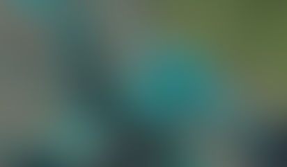 Climate Change Takes The Shore