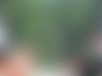 Council President, House Speaker Corruption Charges & More Political News