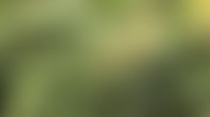 Legislation & News From The General Assembly