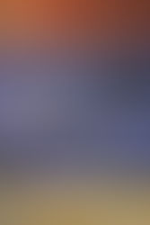 A Lively Experiment 2/4/2022