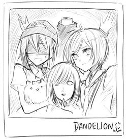 Pic (11)