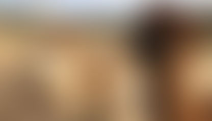 Government Cheese And The Fraud That Follows