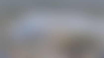 Bill Flu, Pot & The Pond In Legislation