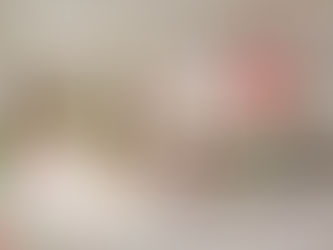 Summer Shut, Steets Open, Paolino Shows The Way