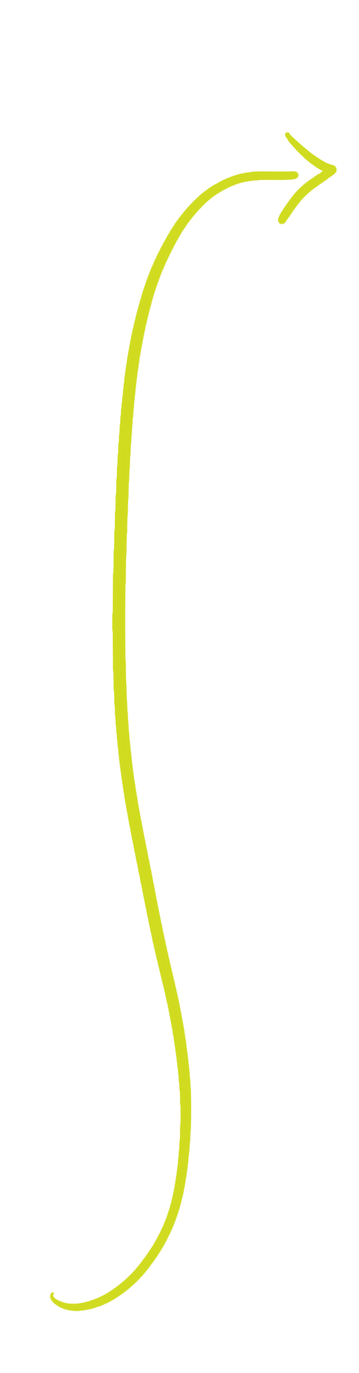 Flèche_montante_fine.png