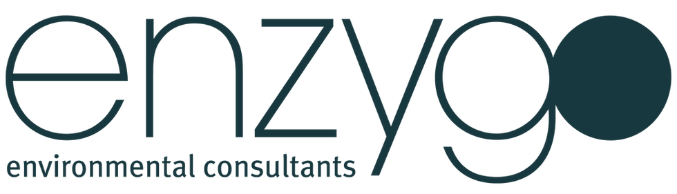 ENZYGO T.png