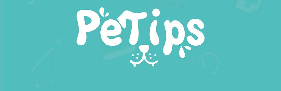 banner front_banner front.png
