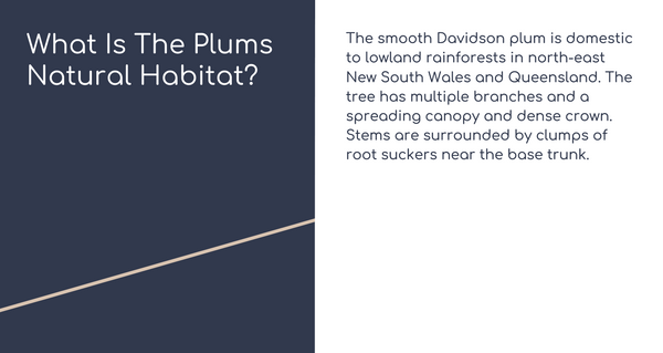 Screenshot 2023-09-24 at 2.13.08 PM.png