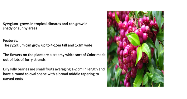 Screenshot 2023-09-26 at 7.25.30 AM.png