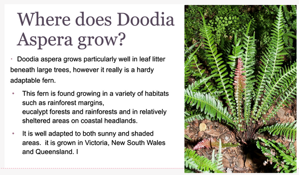 Screenshot 2023-09-27 at 11.53.16 AM.png