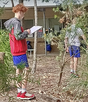 Screen Shot 2021-12-31 at 9.11.47 AM.png