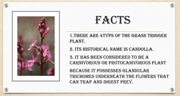 Screenshot 2023-09-10 at 1.43.16 PM.png