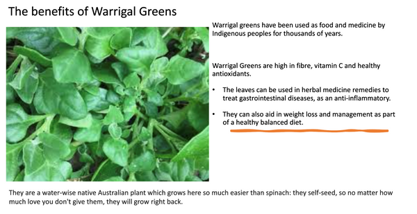 Screenshot 2023-09-28 at 8.38.20 AM.png