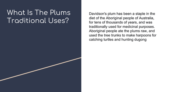 Screenshot 2023-09-24 at 2.13.27 PM.png