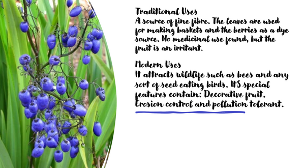 Screenshot 2023-09-25 at 6.51.47 AM.png