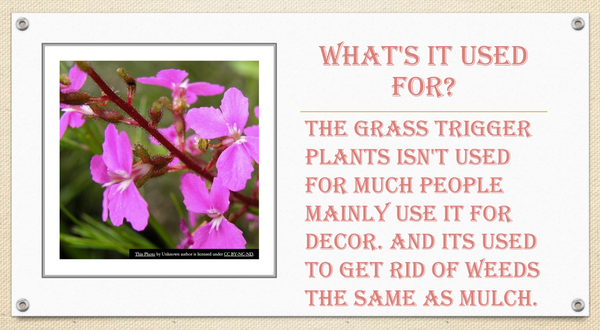 Screenshot 2023-09-10 at 1.43.03 PM.png