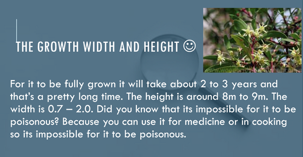 Screenshot 2023-09-16 at 2.27.56 PM.png