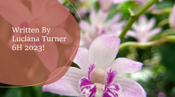 Screenshot 2023-09-27 at 7.02.52 AM.png