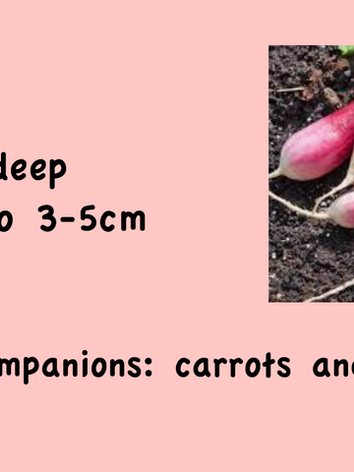 Screen Shot 2021-10-17 at 2.45.56 PM.png