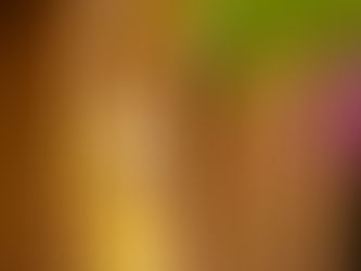 Gợi ý trang phục trong lễ dạm ngõ đẹp