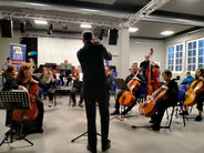 Violoncello 6.jpeg