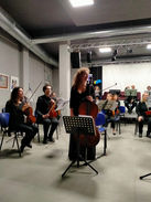 Violoncello 8.jpeg